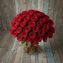 Букет 55 Красных роз Фридом #REPLACE_PRED# Мамонтово